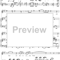 Deine Mutter, süsses Kind, No. 31 from "Spanisches Liederbuch" II