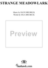 Strange Meadowlark