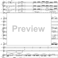 Flute Concerto No. 1 in G Major K285c (K313) - Full Score
