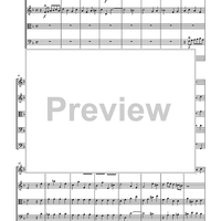 Quintet in the Key of Flexible (TWV 44:11) - Score