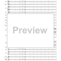 Harry Potter Symphonic Suite - Score