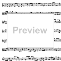 Preliminary studies to 'The Accomplished Clarinettist' Vol. 3 - Clarinet