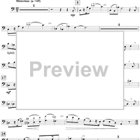 The Chamber of Secrets