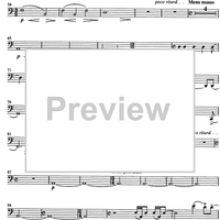 Jarní Hudba (Spring music) - Bassoon