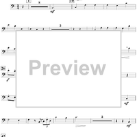 Harry's Wondrous World