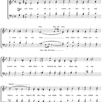 When You Wore a Tulip