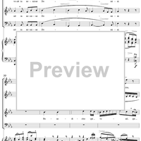 Mass No. 13 in B-flat Major: No. 5, Benedictus