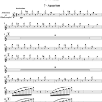 Le carnaval des animaux - Percussion