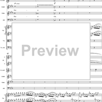 "O selige Wonne! Die glänzende Sonne steigt", No. 8 from "Zaide", Act 1, K336b (K344) - Full Score