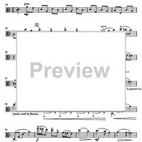 Música per a un estiu (Music for a Sommer) - Viola