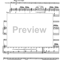 Suite andaluza - Score