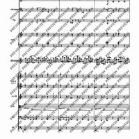 Il Vitalino raddoppiato - Full Score