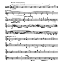 Immagini da Auschwitz - Basset Horn