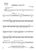 Terminal Velocity - Percussion 2