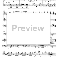 Poema a Macchu Picchu - Score