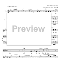 Den blomstrende Sommer