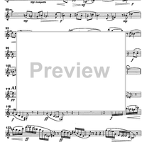 Concerto - B-flat Clarinet/Basset Horn 3