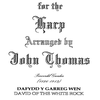Dafydd Y Garreg Wen -  David of the White Rock