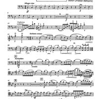 Serenata - Solo Cello 1