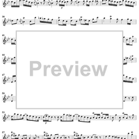 Sonata No. 22 in G Minor - Flute