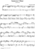 Sonata in C minor   (K56/P50/L356)