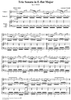 Trio Sonata in E-flat major, Op. 1/7 RV65