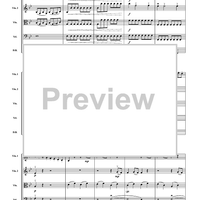 Allegro Molto from Symphony No. 40 - Score