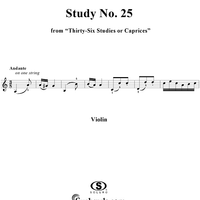 Study No. 25