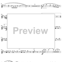 Springtime Festival - D-flat Piccolo