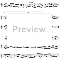 Violin Partita No. 2 in D Minor