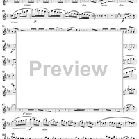 Trois Grands Duos, op. 87/3, flute 2