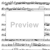 Concerto Bb Major KV191 - Bassoon