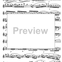 Preliminary studies to 'The Accomplished Clarinettist' Vol. 3 - Clarinet