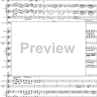 Horn Concerto No. 4 in E-flat Major, K495