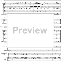 Horn Concerto No. 3 in E-flat Major, K447