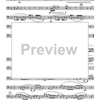 Suite for Horn and Tuba - Tuba