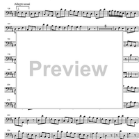 Divertimento No. 2 D Major KV131 - Bassoon