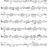 Variations concertantes in D Major Op.17 - Cello