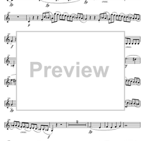 String Quintet C Major Op.29 - Violin 2