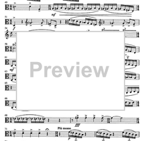 2. Gudacki kvartet (string quartet) - Viola