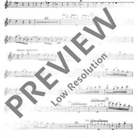 Organ Concerto No. 6 B Major in B flat major - Flute [treble Recorder] I