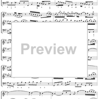 Trio Sonata in G major for Two Flutes and Continuo, Mvmt. 1, BWV1039