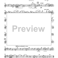Seven Opera Trios - Violin 1