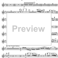 Concertino - Flute 1