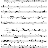 Cello Sonata No. 3 in A Minor, RV43 - Cello