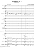 Symphony No. 5 in E minor (e-moll). Movement I, Andante--Allegro con anima