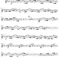 "Wenn Sorgen auf mich dringen", Duet, No. 5 from Cantata No. 3: "Ach Gott, wie manches Herzeleid" - Oboe d'amore