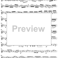 Duo No. 1 in G Major - Violin 1