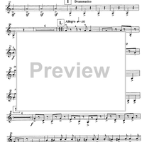 Tanijetz - Contrabass Clarinet