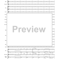 Harry Potter Symphonic Suite - Score